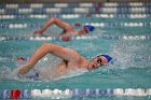 Swim vs Bentley  Wheaton College Swimming & Diving vs Bentley University. - Photo by Keith Nordstrom : Wheaton, Swimming & Diving